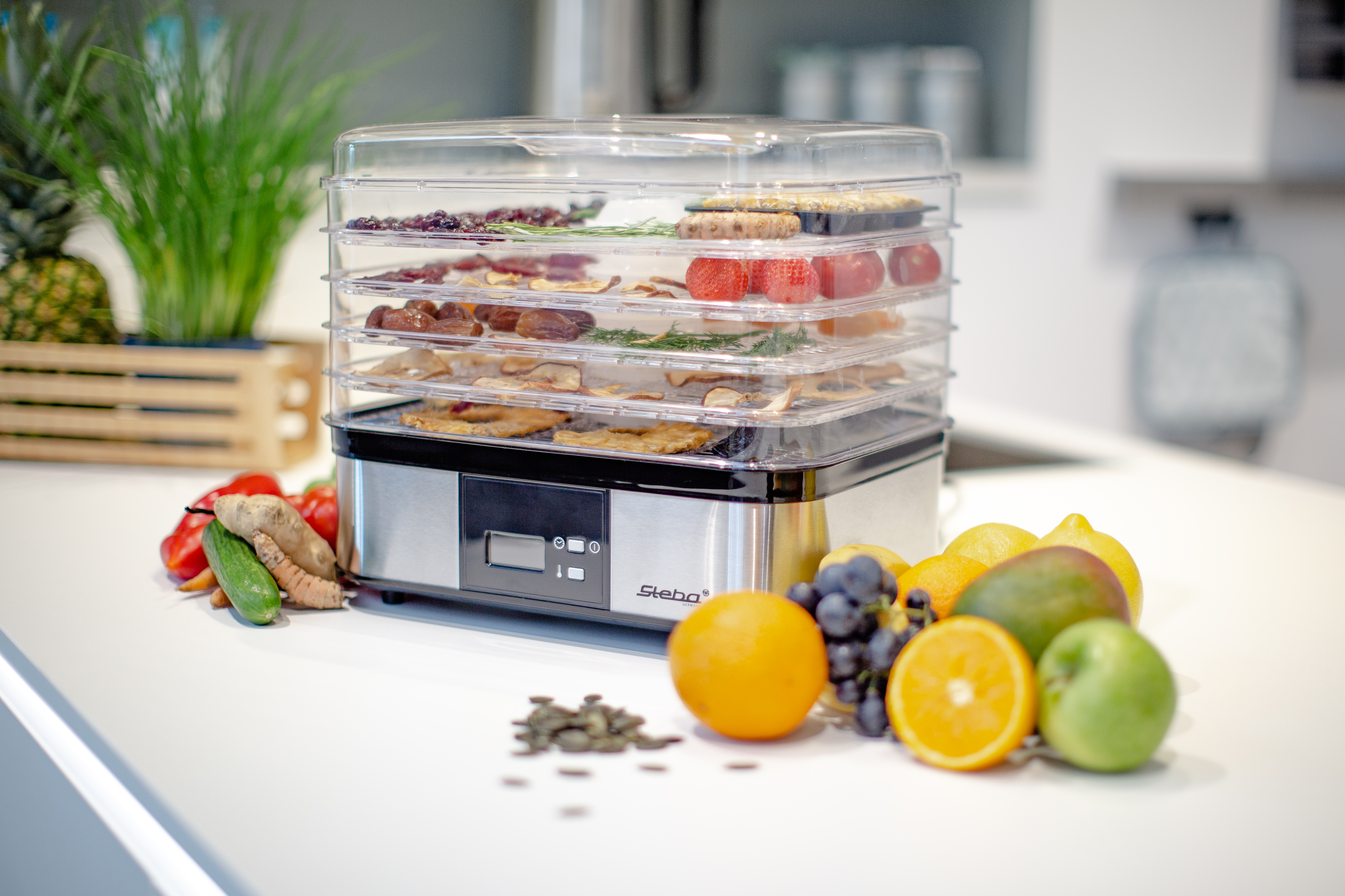 Steba Dehydrator Stål/Sort   